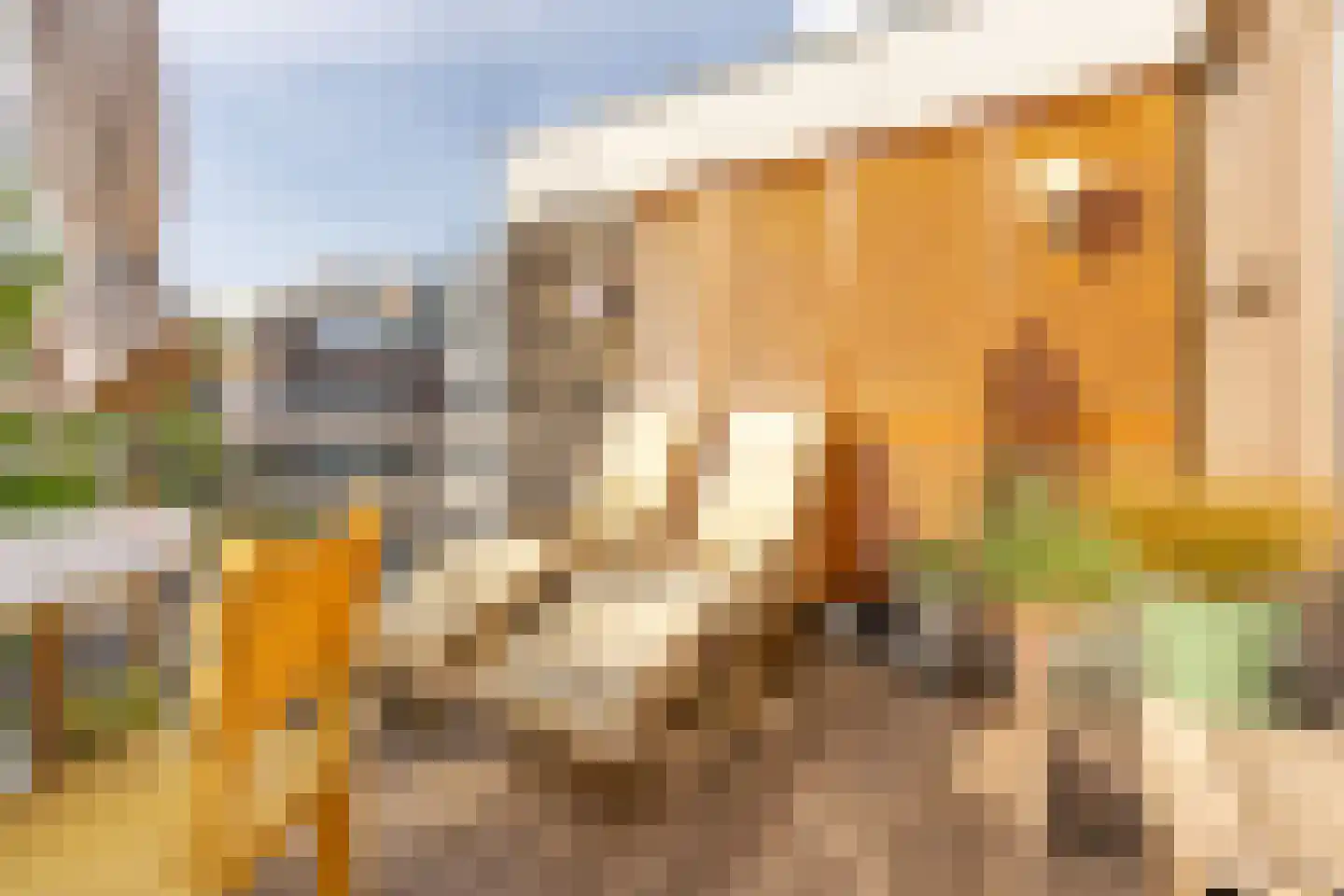 Pastoor van Nuenenstraat 18 Utrecht thumbnail 5