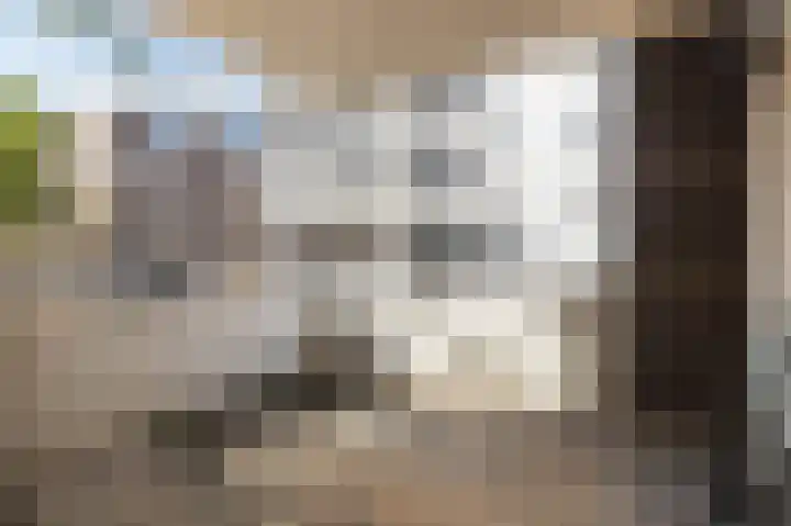 Pastoor van Nuenenstraat 8 Utrecht thumbnail 14