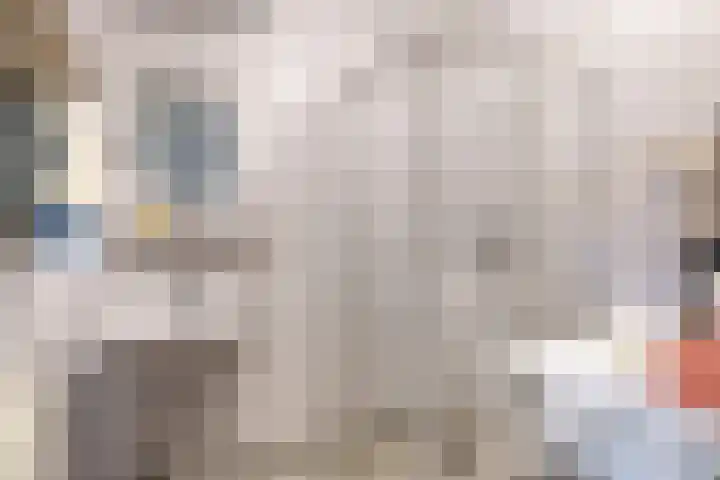 Pastoor van Nuenenstraat 8 Utrecht thumbnail 17