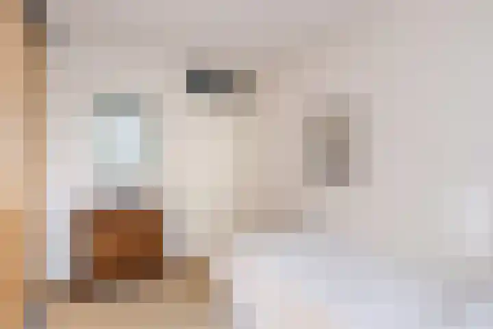 Pastoor van Nuenenstraat 8 Utrecht thumbnail 19