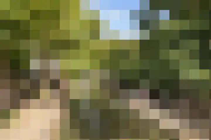 Pastoor van Nuenenstraat 8 Utrecht thumbnail 25