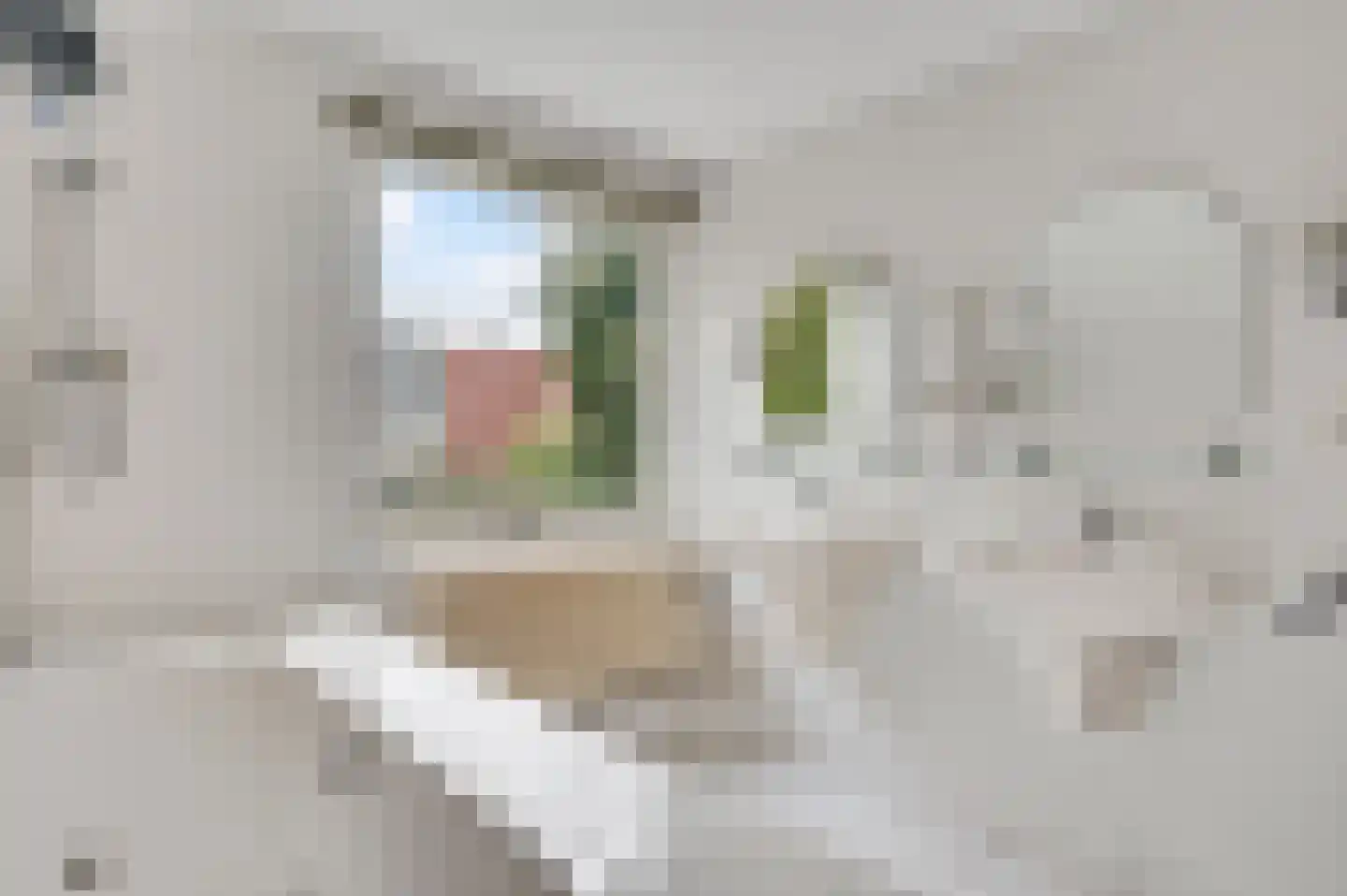 Pastoor van Oppenstraat 1 Roermond thumbnail 22