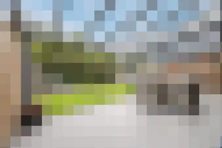 Pastoor van Poortenstraat 22 Haghorst thumbnail 11
