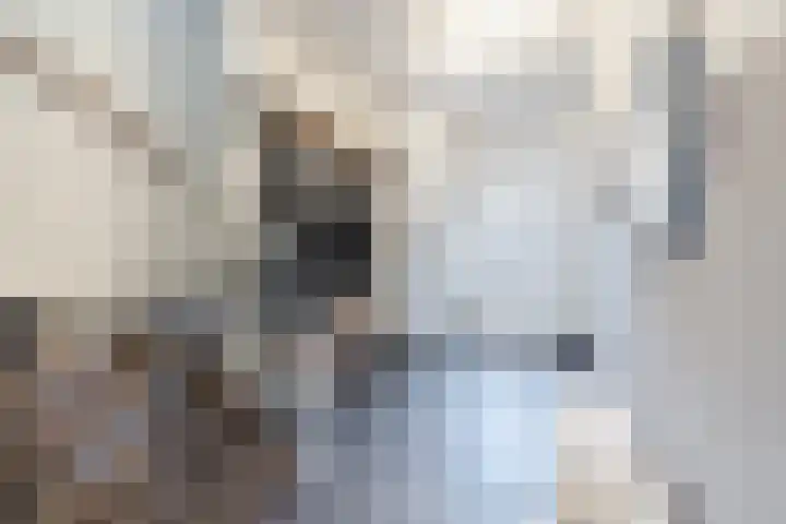 Pastoor van Poortenstraat 22 Haghorst thumbnail 13