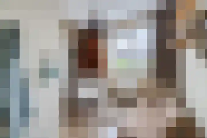 Pastoor van Poortenstraat 22 Haghorst thumbnail 20