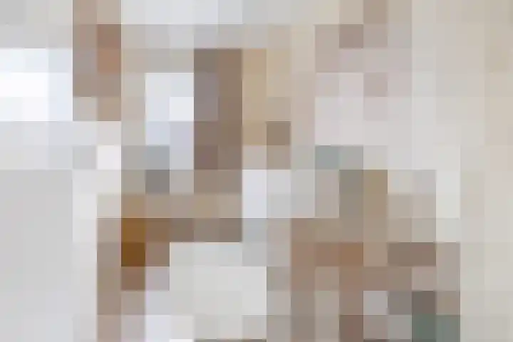 Pastoor van Poortenstraat 22 Haghorst thumbnail 22