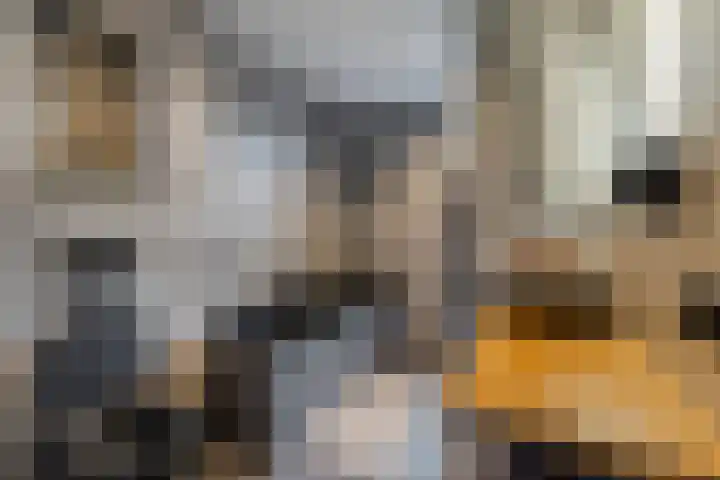 Pastoor van Poortenstraat 22 Haghorst thumbnail 24