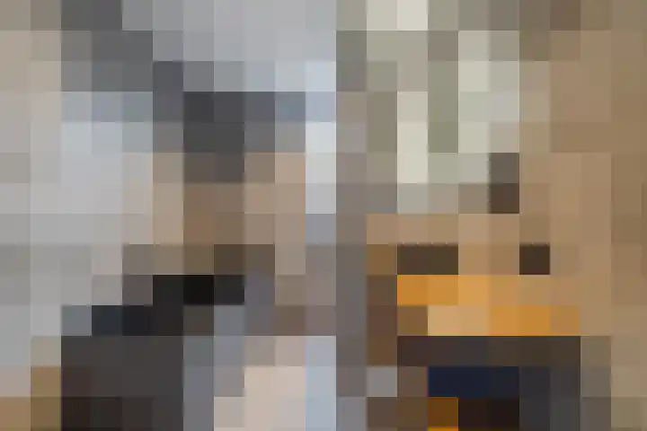 Pastoor van Poortenstraat 22 Haghorst thumbnail 25