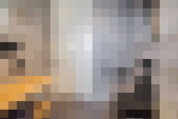 Pastoor van Poortenstraat 22 Haghorst thumbnail 26