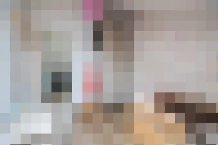 Pastoor van Poortenstraat 22 Haghorst thumbnail 32