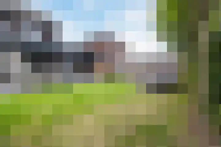 Pastoor van Poortenstraat 22 Haghorst thumbnail 38