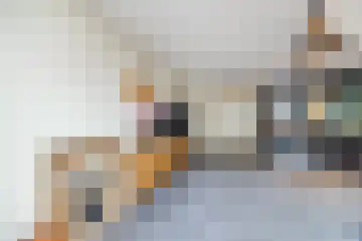 Pastoor van Poortenstraat 22 Haghorst thumbnail 5