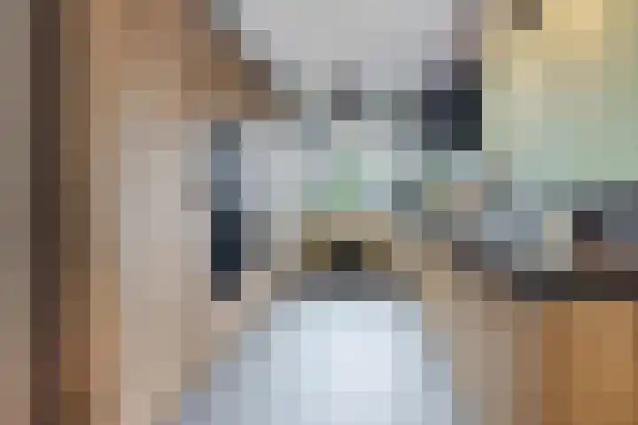 Pastoor van Poortenstraat 22 Haghorst thumbnail 8