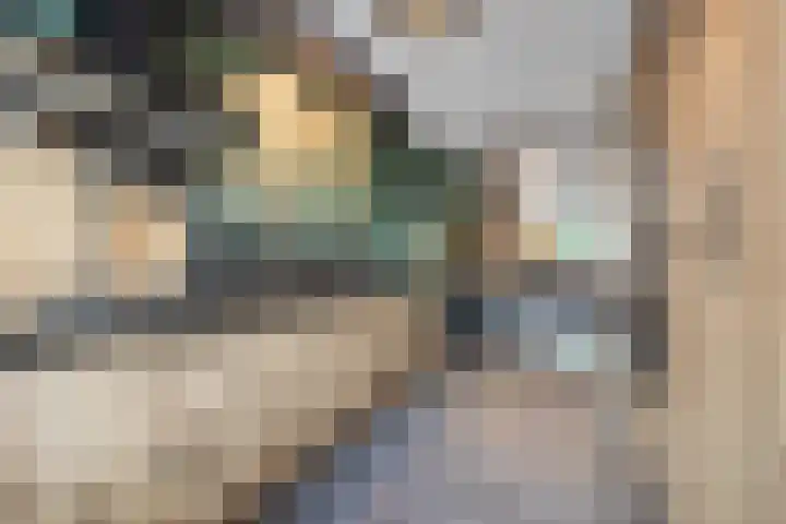 Pastoor van Poortenstraat 22 Haghorst thumbnail 9