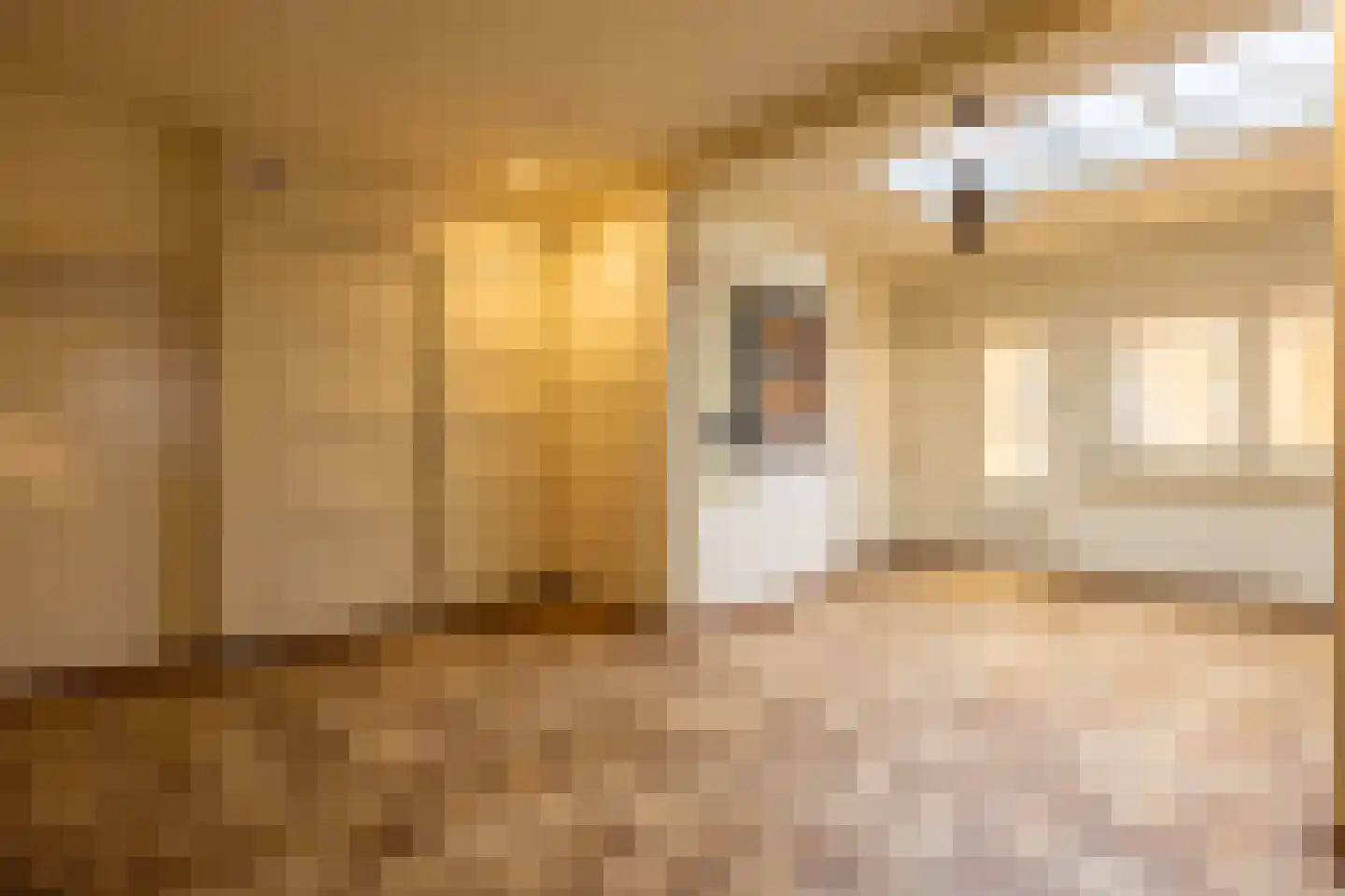 Pastoor van Rijckelstraat 3 Oisterwijk thumbnail 17