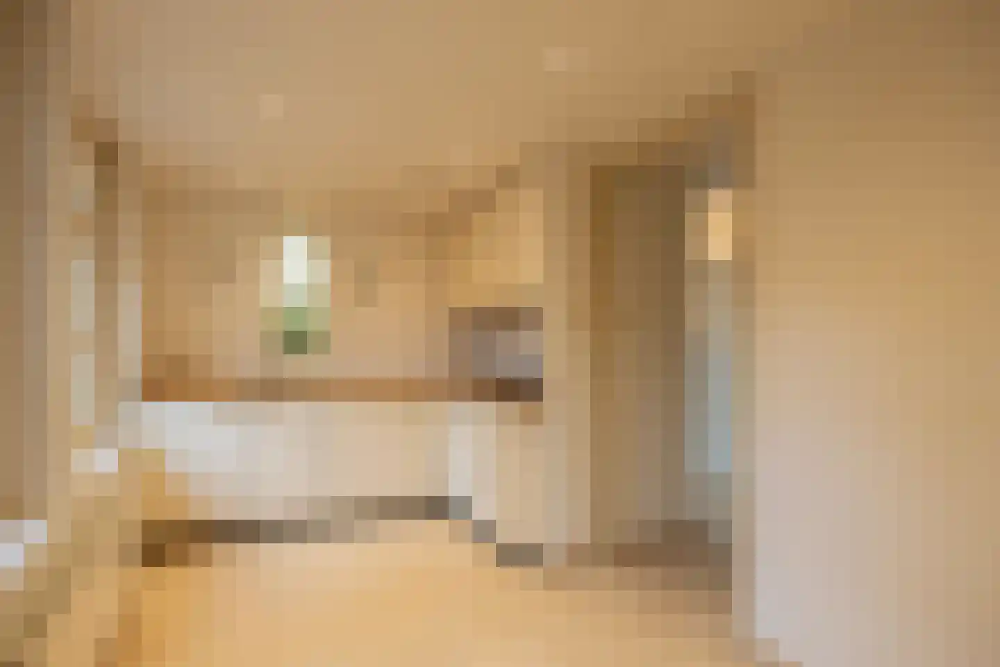 Pastoor van Rijckelstraat 3 Oisterwijk thumbnail 19