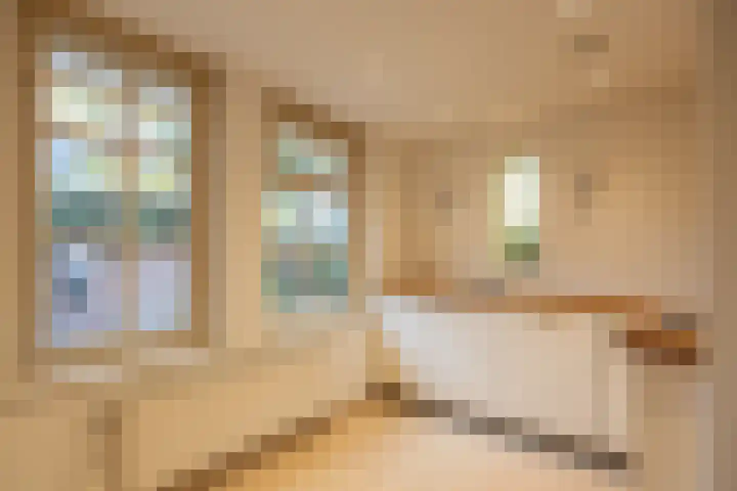 Pastoor van Rijckelstraat 3 Oisterwijk thumbnail 20