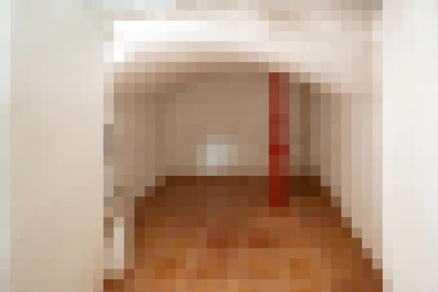Pastoor van Rijckelstraat 3 Oisterwijk thumbnail 23