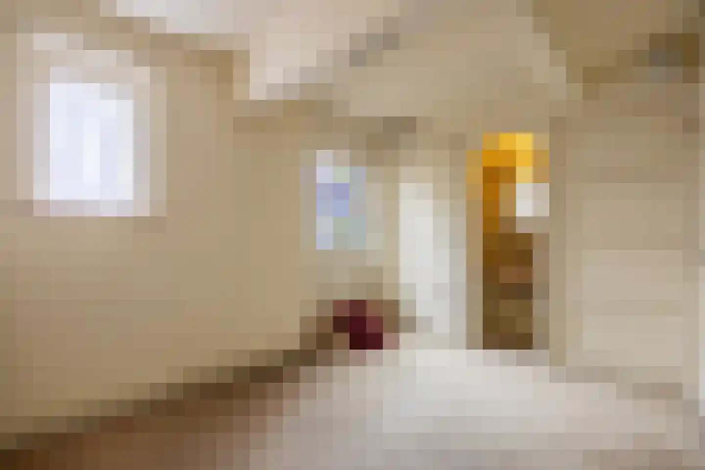 Pastoor van Rijckelstraat 3 Oisterwijk thumbnail 29