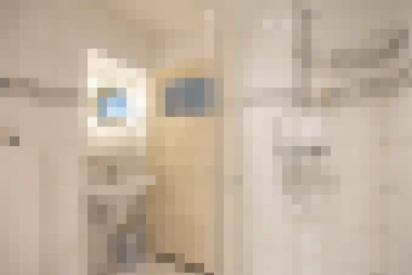 Pastoor van Rijckelstraat 3 Oisterwijk thumbnail 32