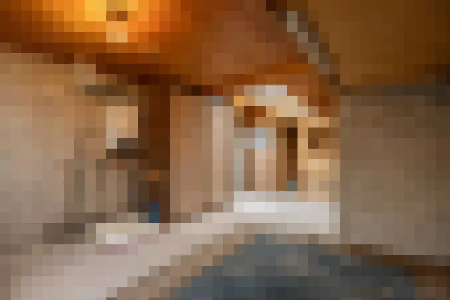 Pastoor van Rijckelstraat 3 Oisterwijk thumbnail 34