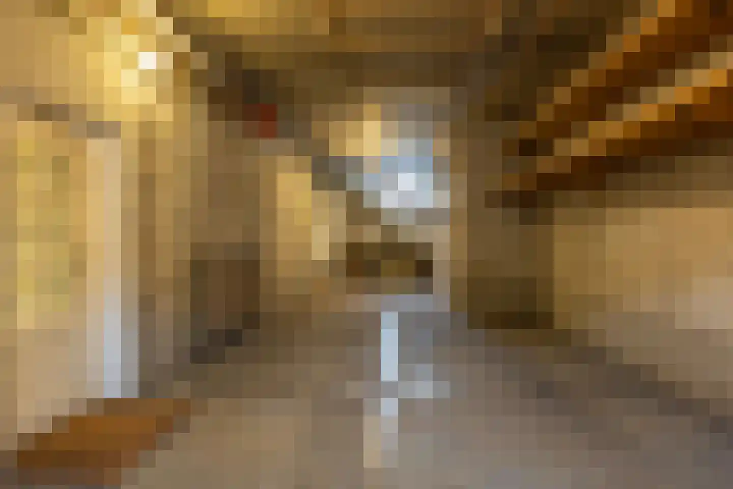 Pastoor van Rijckelstraat 3 Oisterwijk thumbnail 37