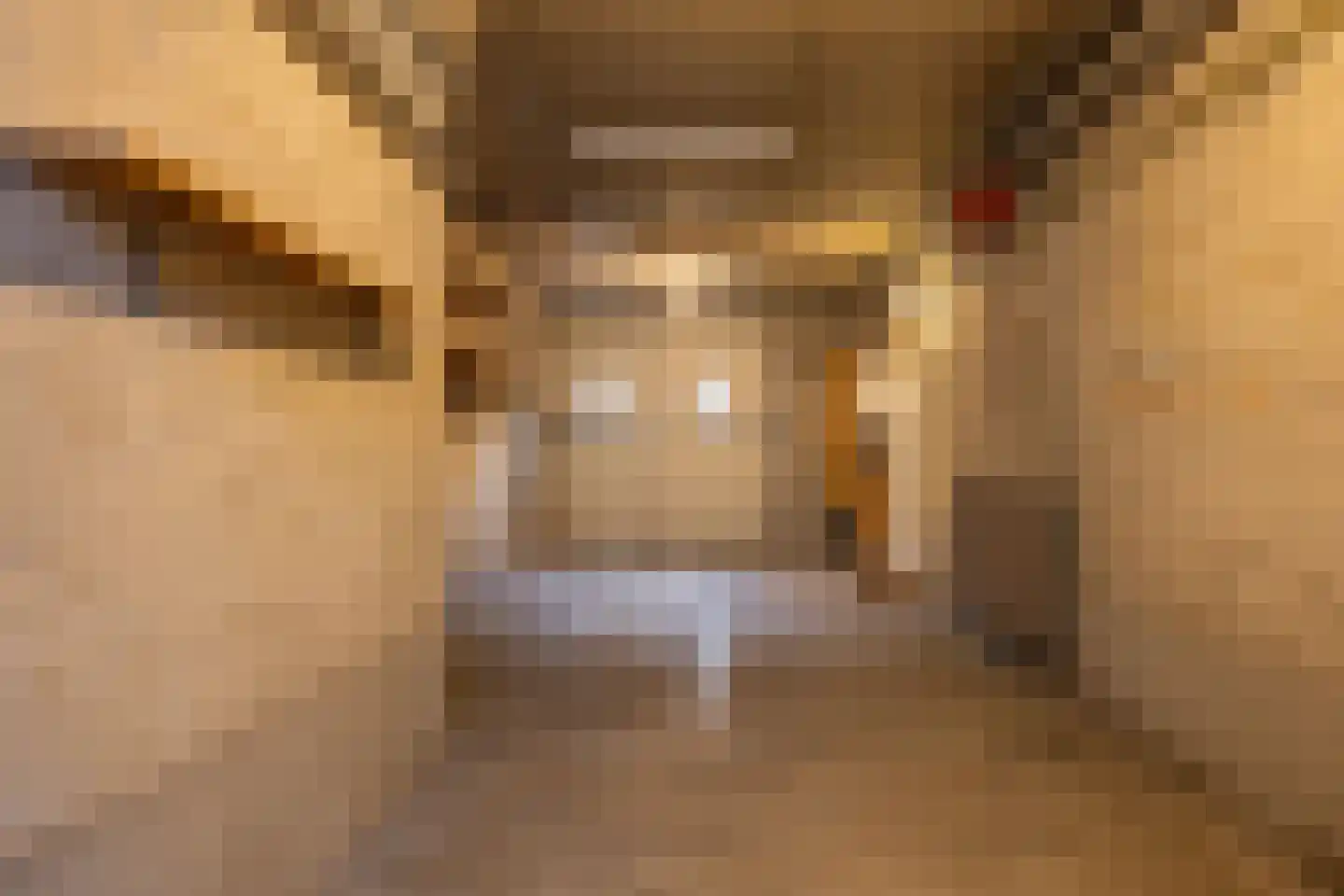 Pastoor van Rijckelstraat 3 Oisterwijk thumbnail 38