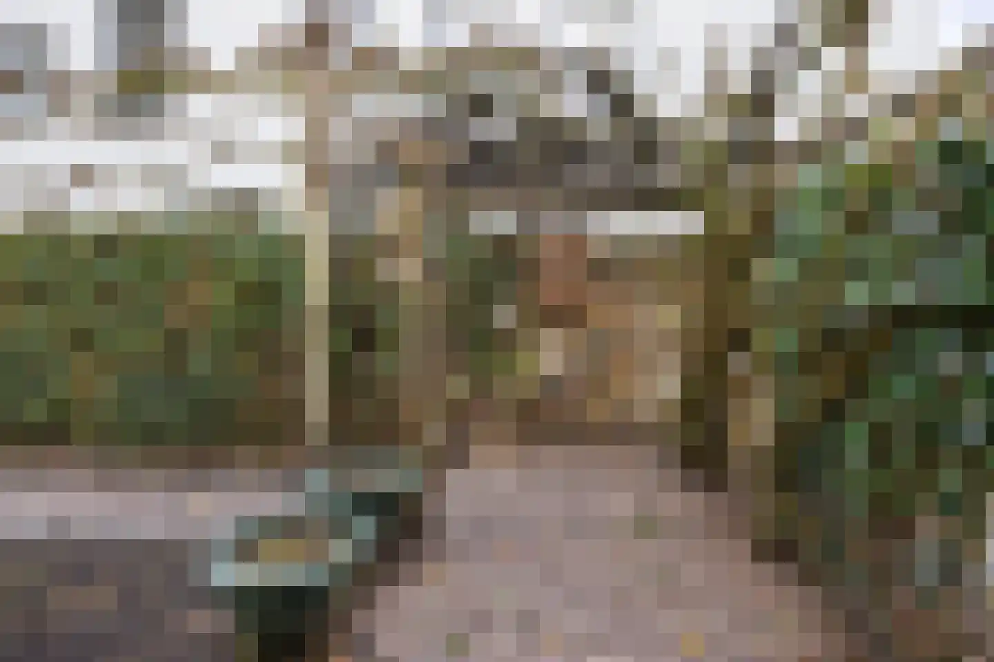 Pastoor van Rijckelstraat 3 Oisterwijk thumbnail 40