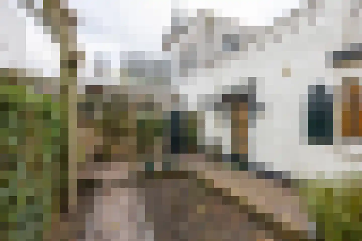 Pastoor van Rijckelstraat 3 Oisterwijk thumbnail 42