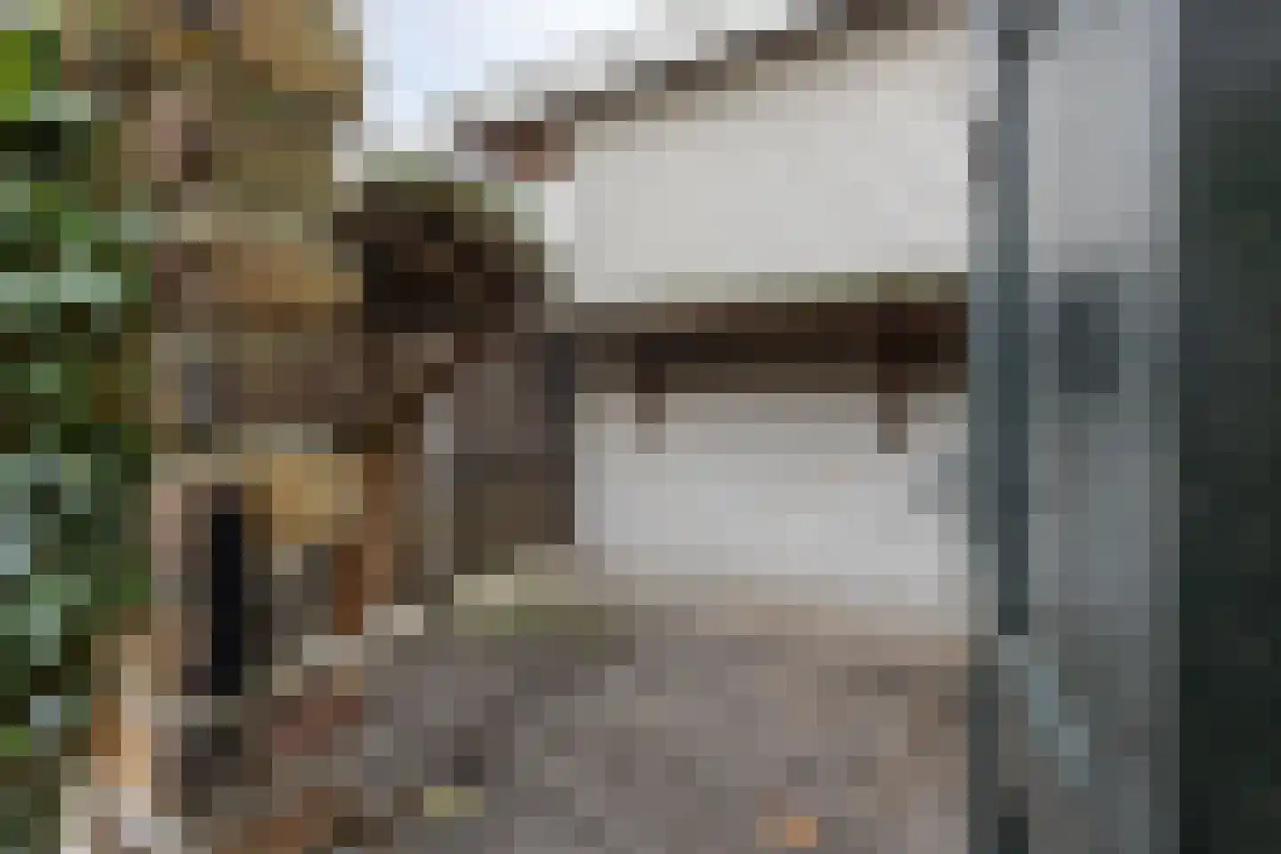 Pastoor van Rijckelstraat 3 Oisterwijk thumbnail 45