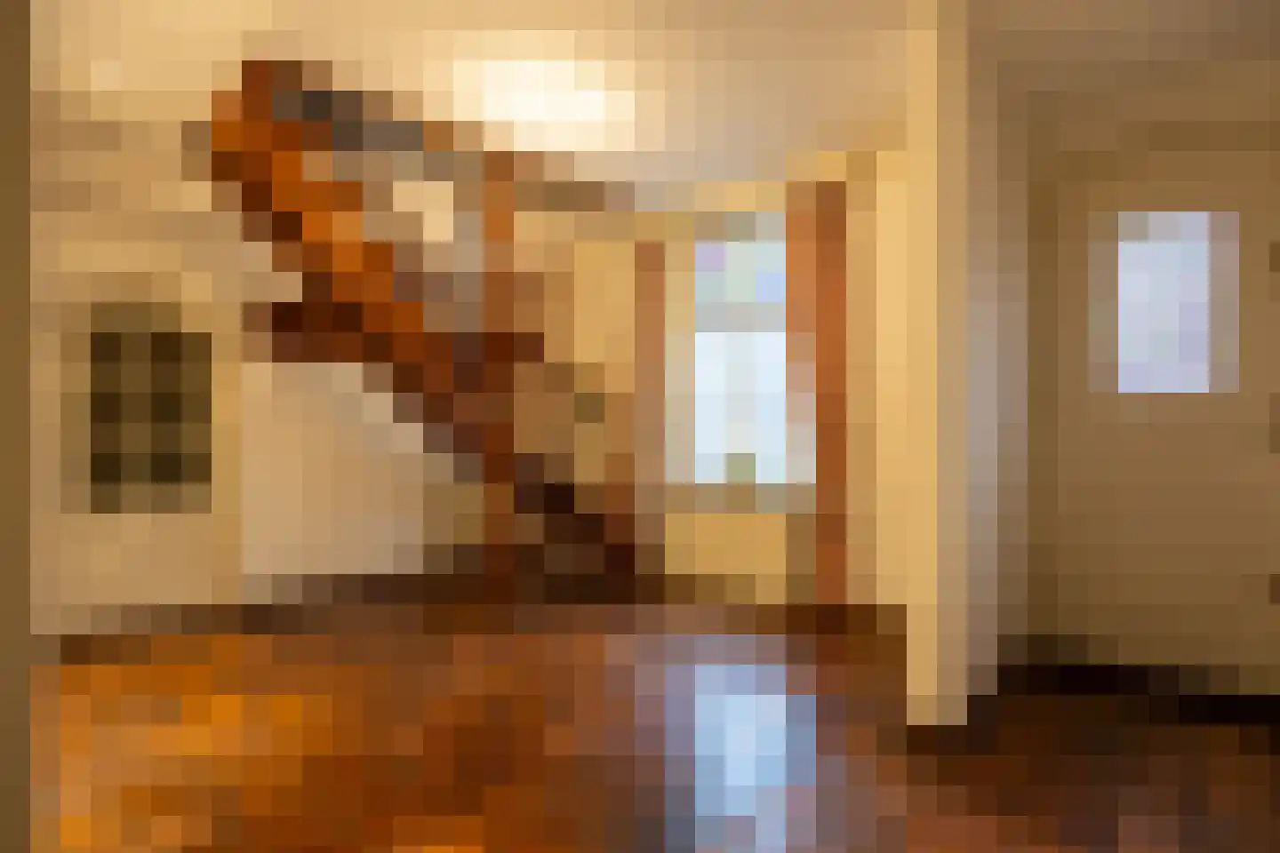 Pastoor van Rijckelstraat 3 Oisterwijk thumbnail 6
