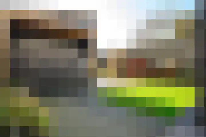 Pastoor van Santestraat 39 Wervershoof thumbnail 33