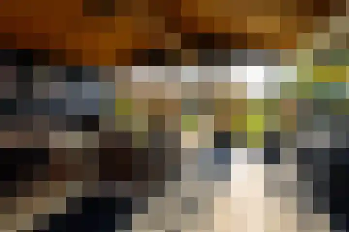 Pastoor van Santestraat 39 Wervershoof thumbnail 35