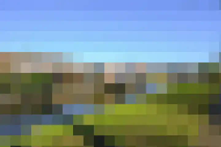 Pastoor van Santestraat 39 Wervershoof thumbnail 46