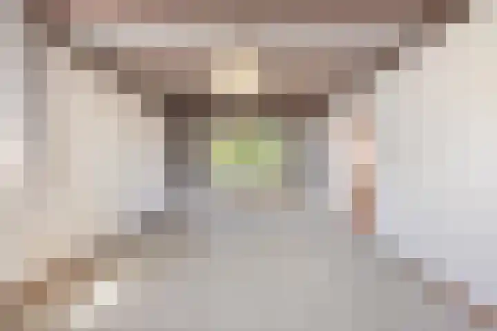 Pastoor van Schijndelstraat 31 Erp thumbnail 11