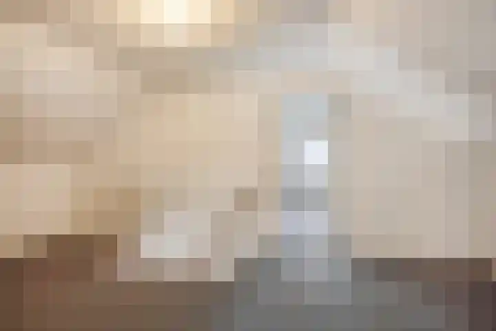 Pastoor van Schijndelstraat 31 Erp thumbnail 28