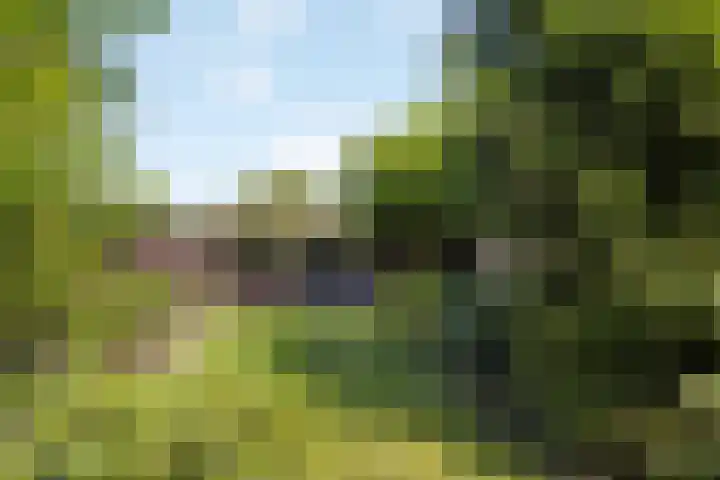 Pastoor van Schijndelstraat 31 Erp thumbnail 37