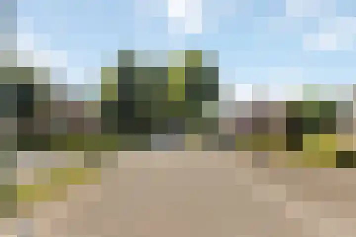 Pastoor van Schijndelstraat 31 Erp thumbnail 42
