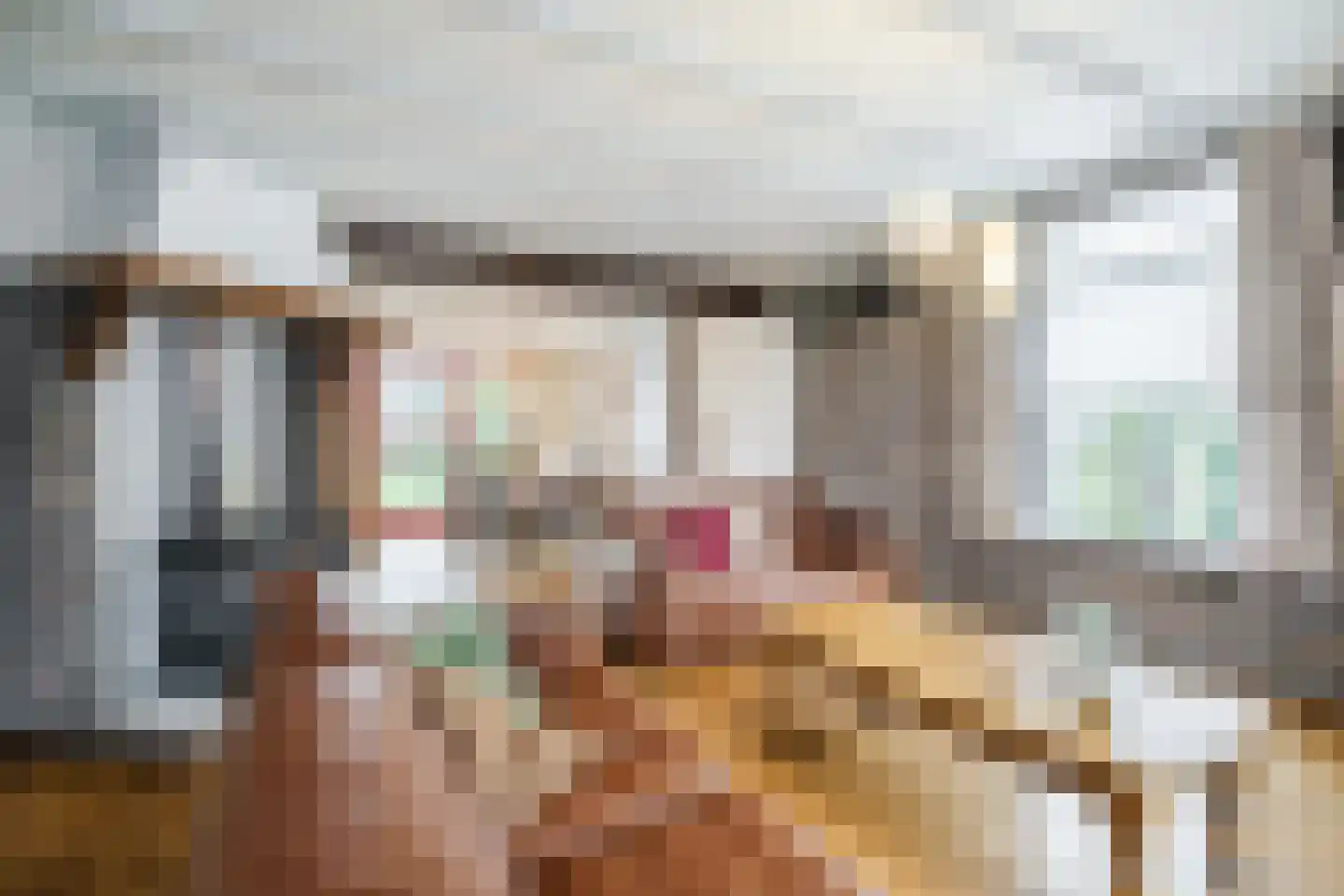 Pastoor van Schijndelstraat 8 Erp thumbnail 11