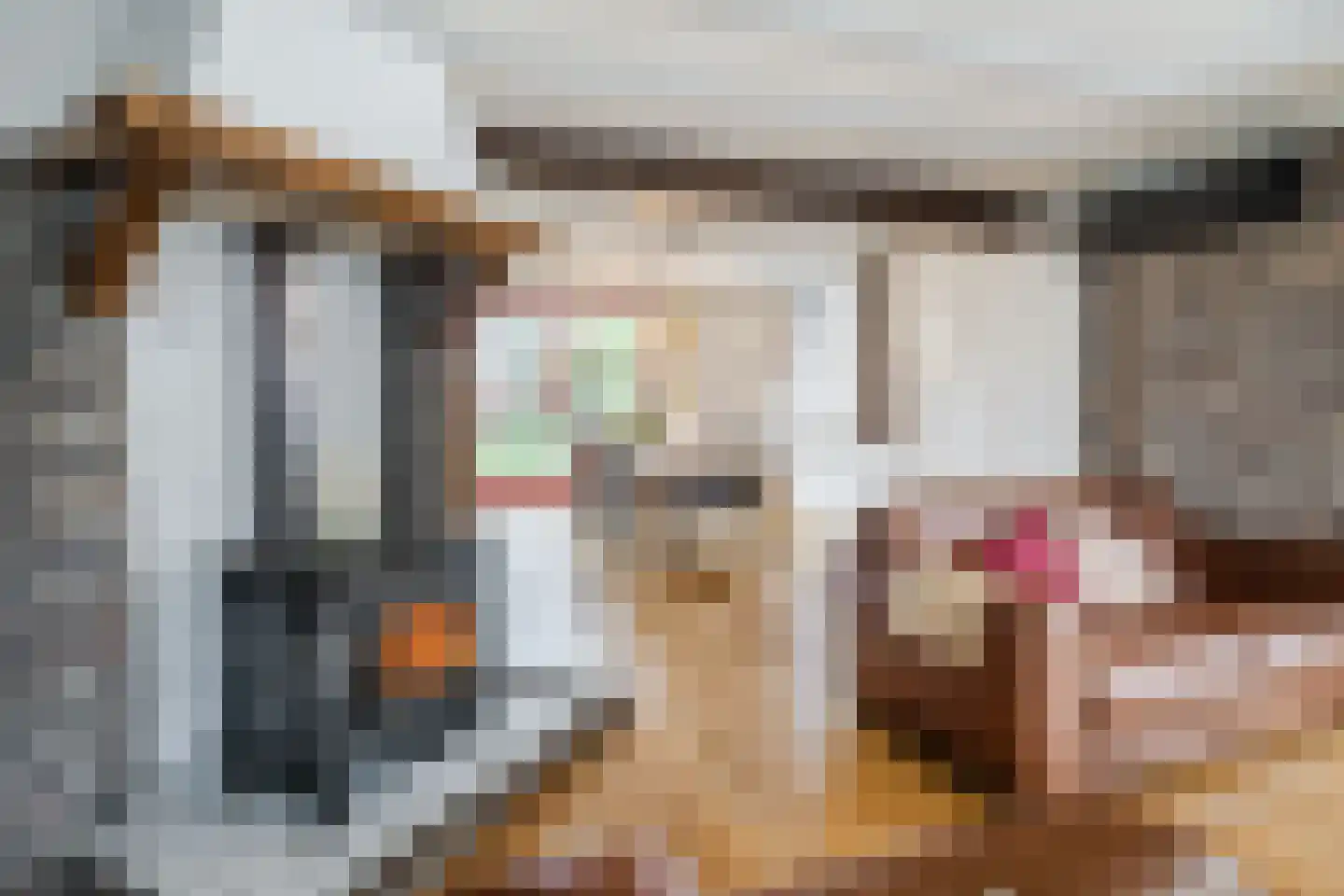 Pastoor van Schijndelstraat 8 Erp thumbnail 12