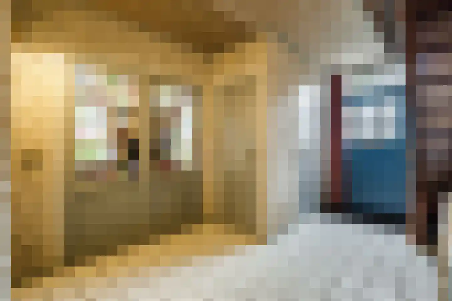 Pastoor van Schijndelstraat 8 Erp thumbnail 21