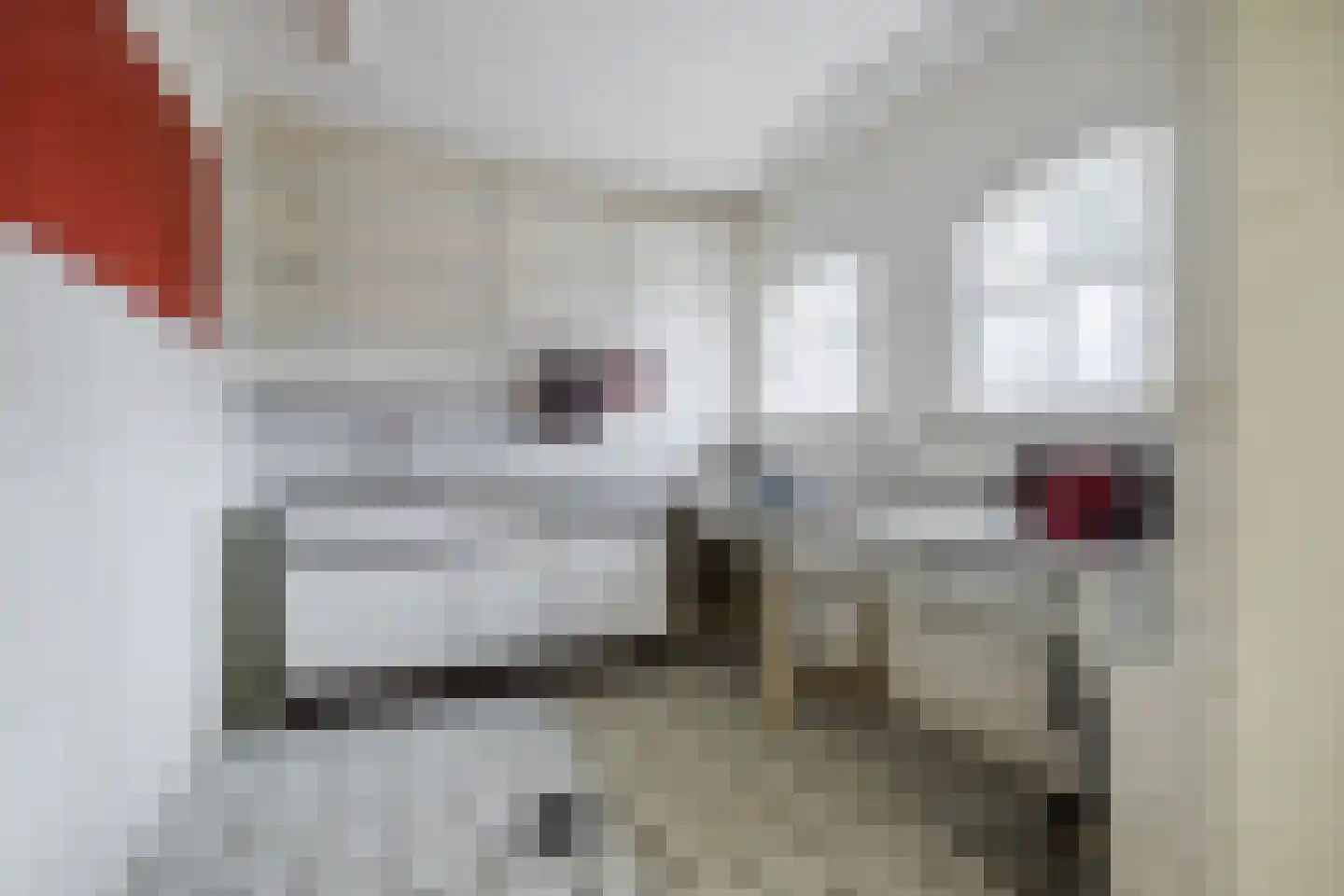 Pastoor van Schijndelstraat 8 Erp thumbnail 28