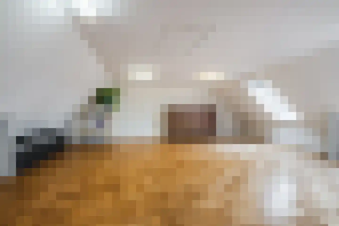 Pastoor van Schijndelstraat 8 Erp thumbnail 31