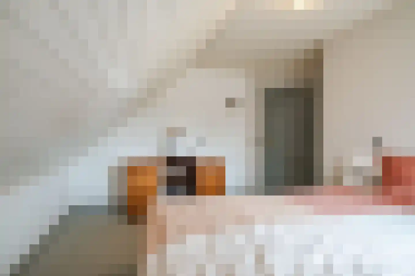 Pastoor van Schijndelstraat 8 Erp thumbnail 37