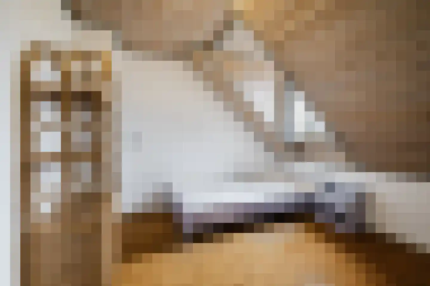 Pastoor van Schijndelstraat 8 Erp thumbnail 38
