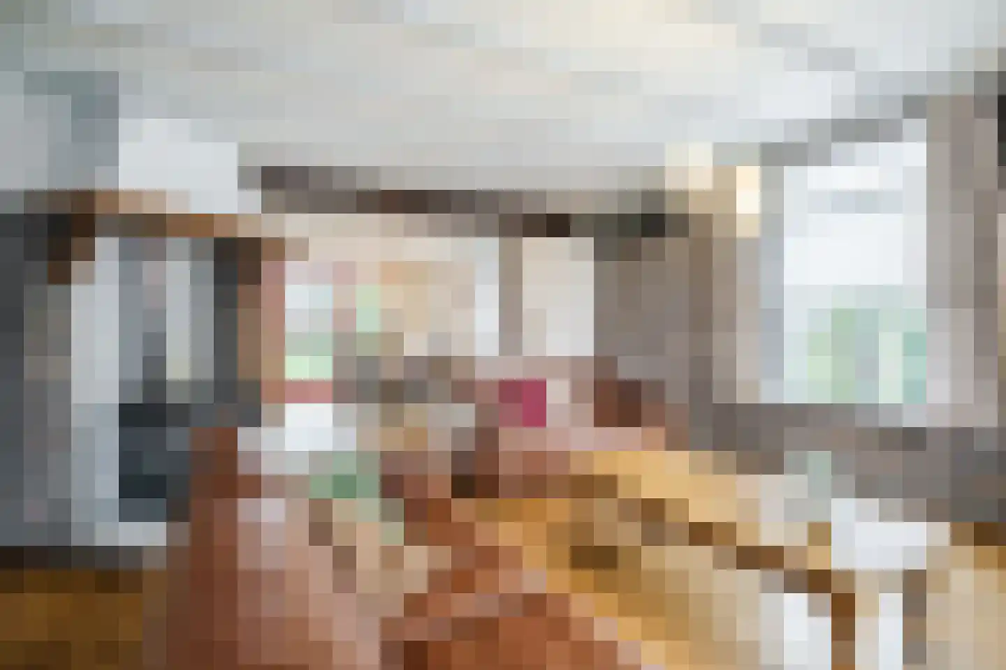 Pastoor van Schijndelstraat 8 Erp thumbnail 4