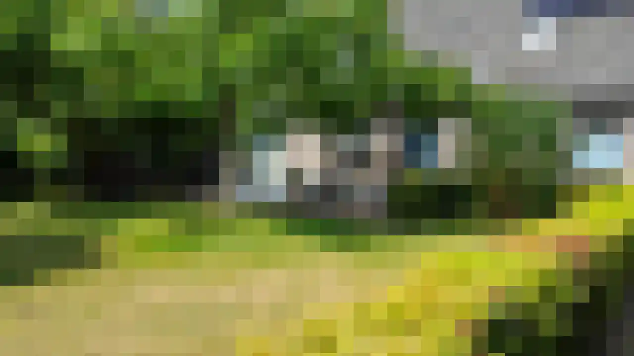 Pastoor van Schijndelstraat 8 Erp thumbnail 47