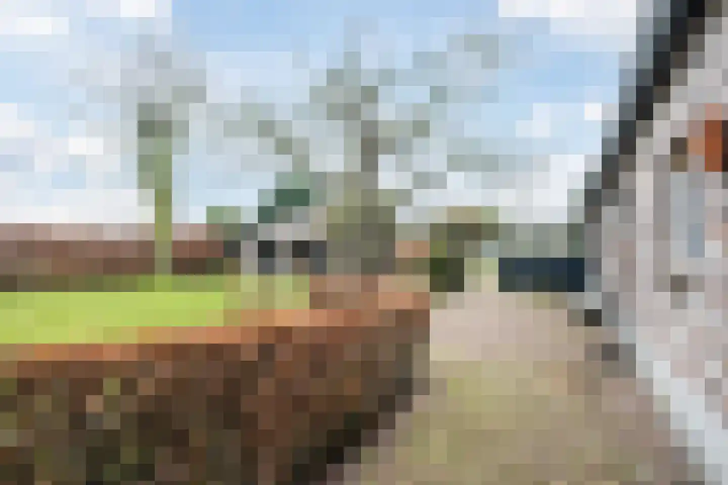 Pastoor van Schijndelstraat 8 Erp thumbnail 48
