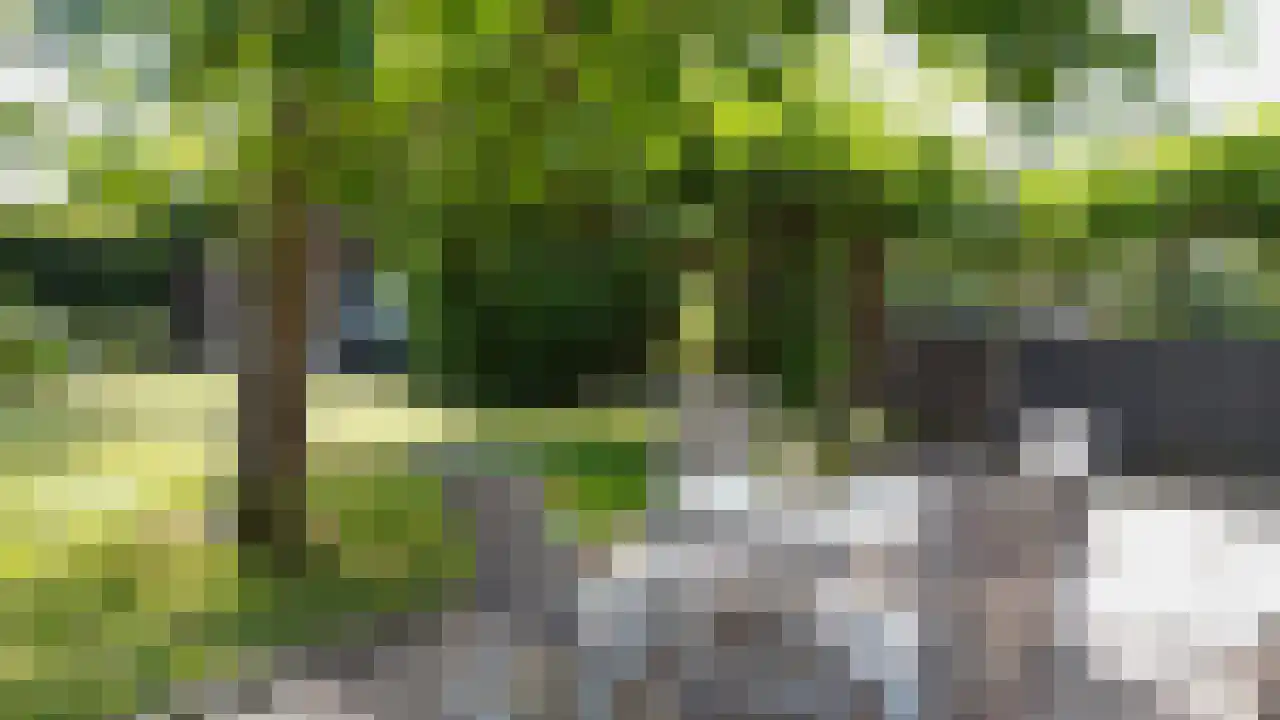 Pastoor van Schijndelstraat 8 Erp thumbnail 57
