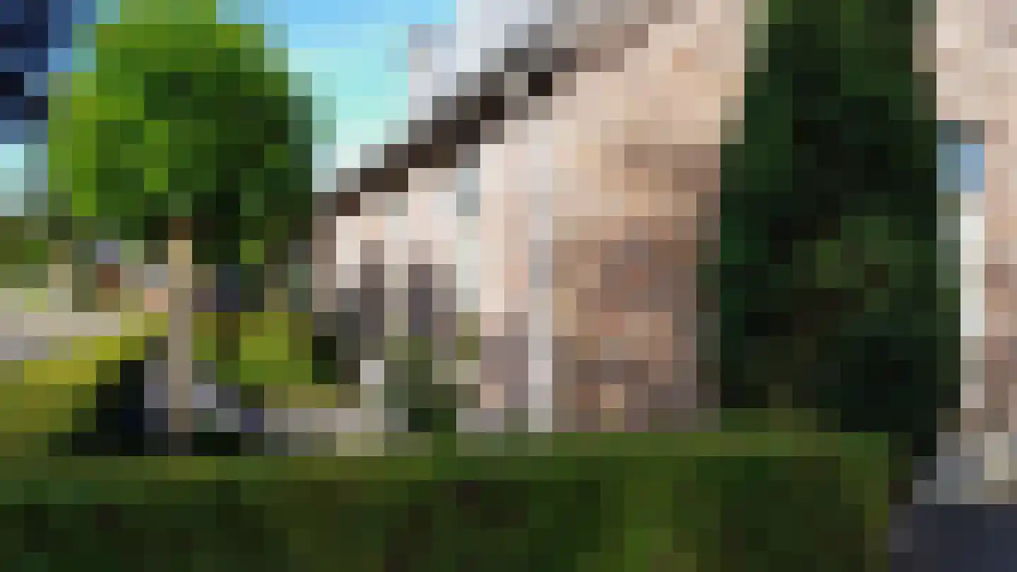 Pastoor van Schijndelstraat 8 Erp thumbnail 6